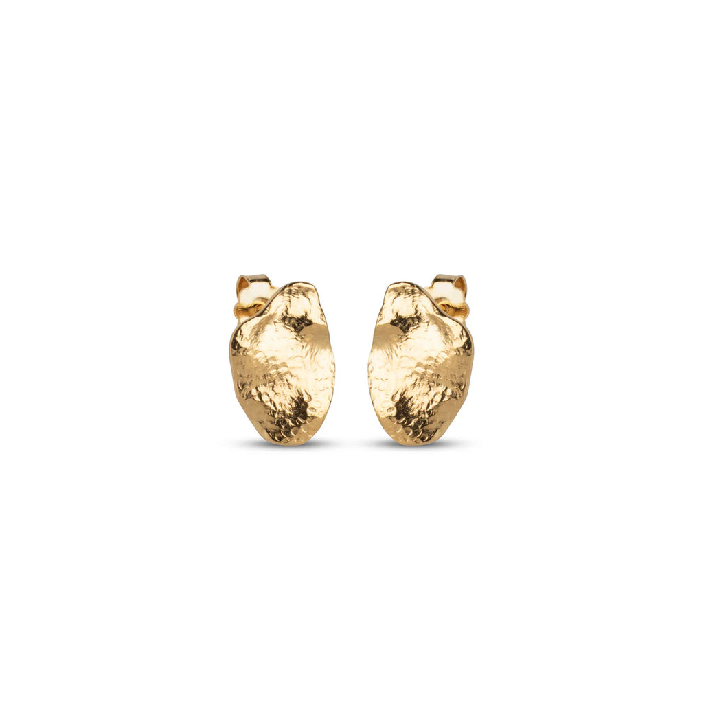 EC Maia  studs