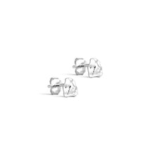 Load image into Gallery viewer, EC RIO  studs
