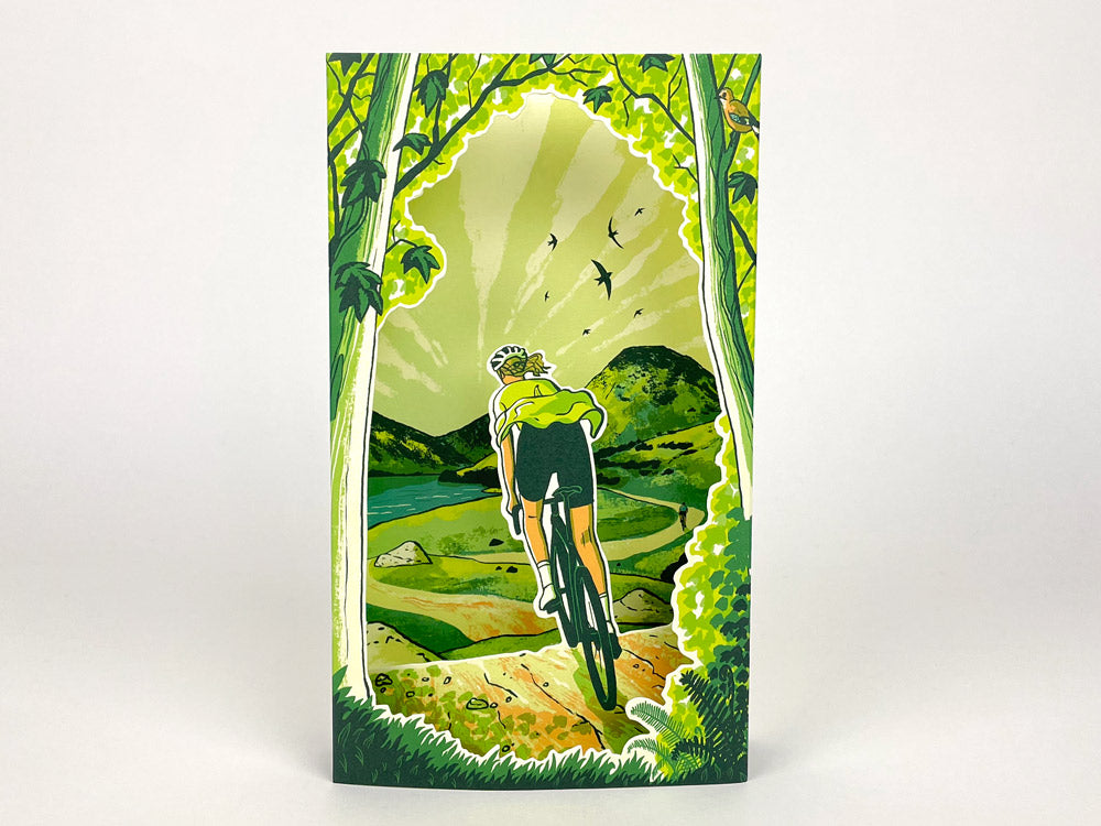 3D folding card - Spring Spins