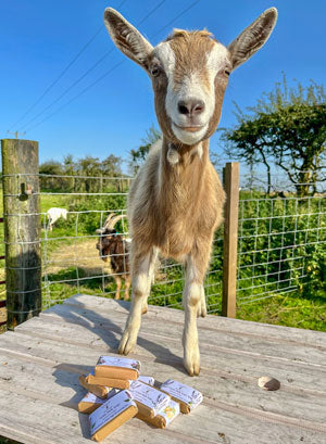 SHOP ONLY Handmade Goats Milk Soap | Scottish Goats Milk Soap Company