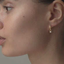 Load and play video in Gallery viewer, EC Belle Hoops
