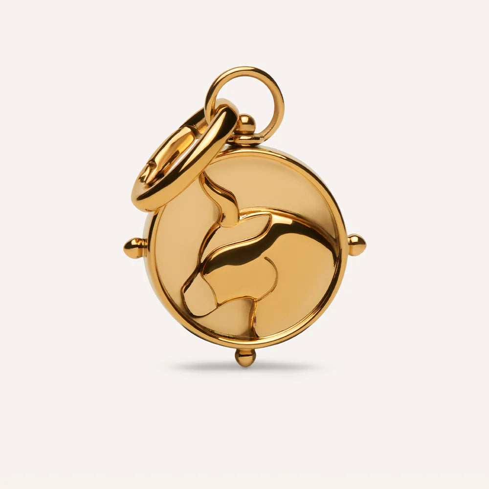 ZODIAC DOUBLE-SIDED CHARMS by  Coluri - ORA SHEFFIELD
