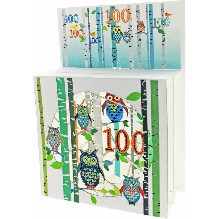 Forever 3-D magic box Birthday - Age cards-18 to 100