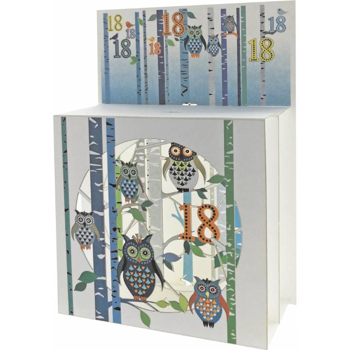 Forever 3-D magic box Birthday - Age cards-18 to 100