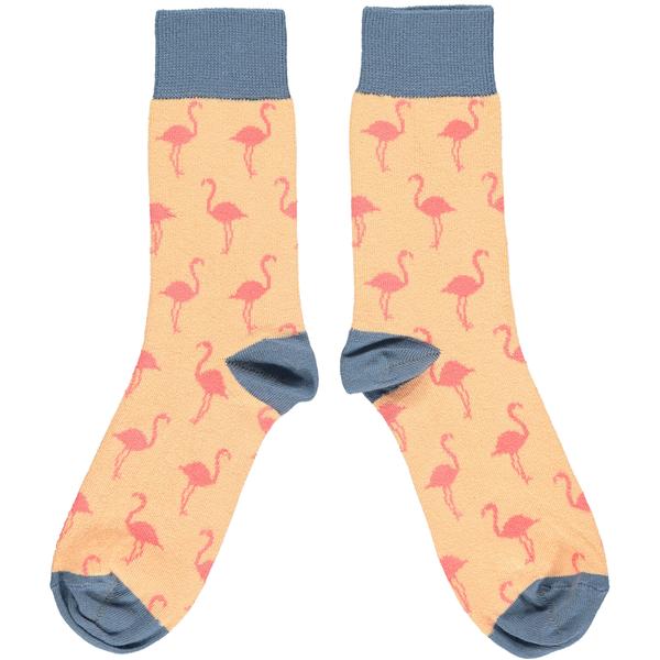 CT Cotton ankle socks for women