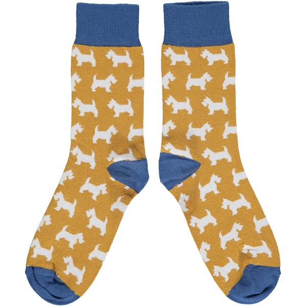 CT Cotton ankle socks for women
