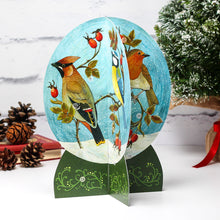 Load image into Gallery viewer, Snow Globe Birds Advent Calendar by Alice Melvin
