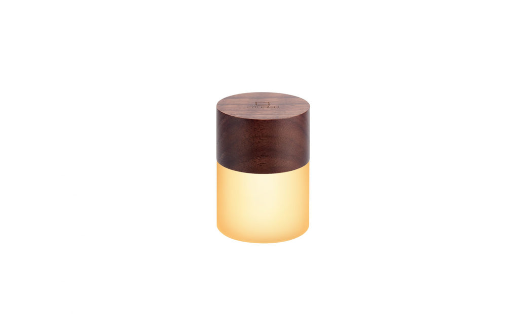 Lemelia Light  Gingko Design