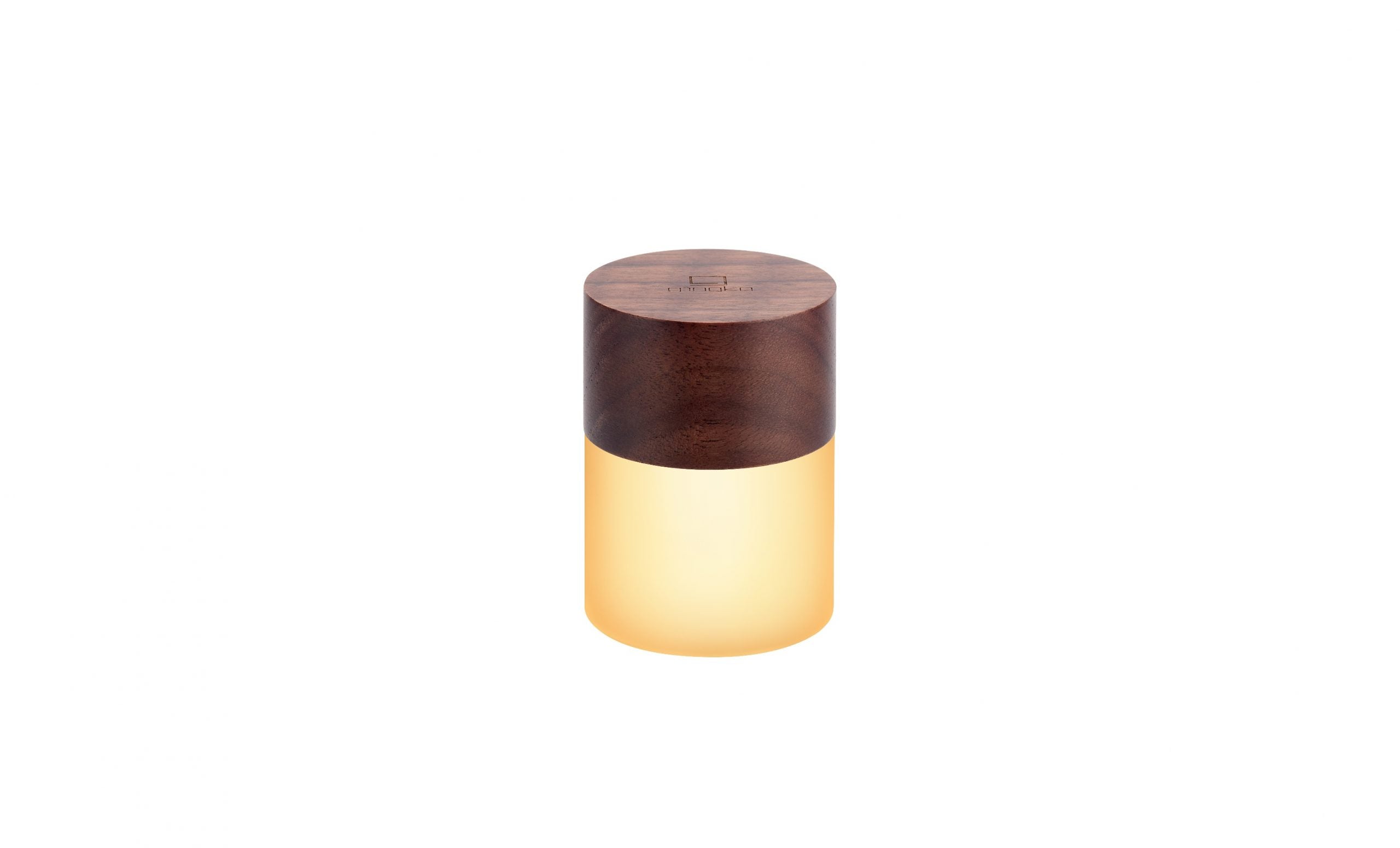 Lemelia Light  Gingko Design