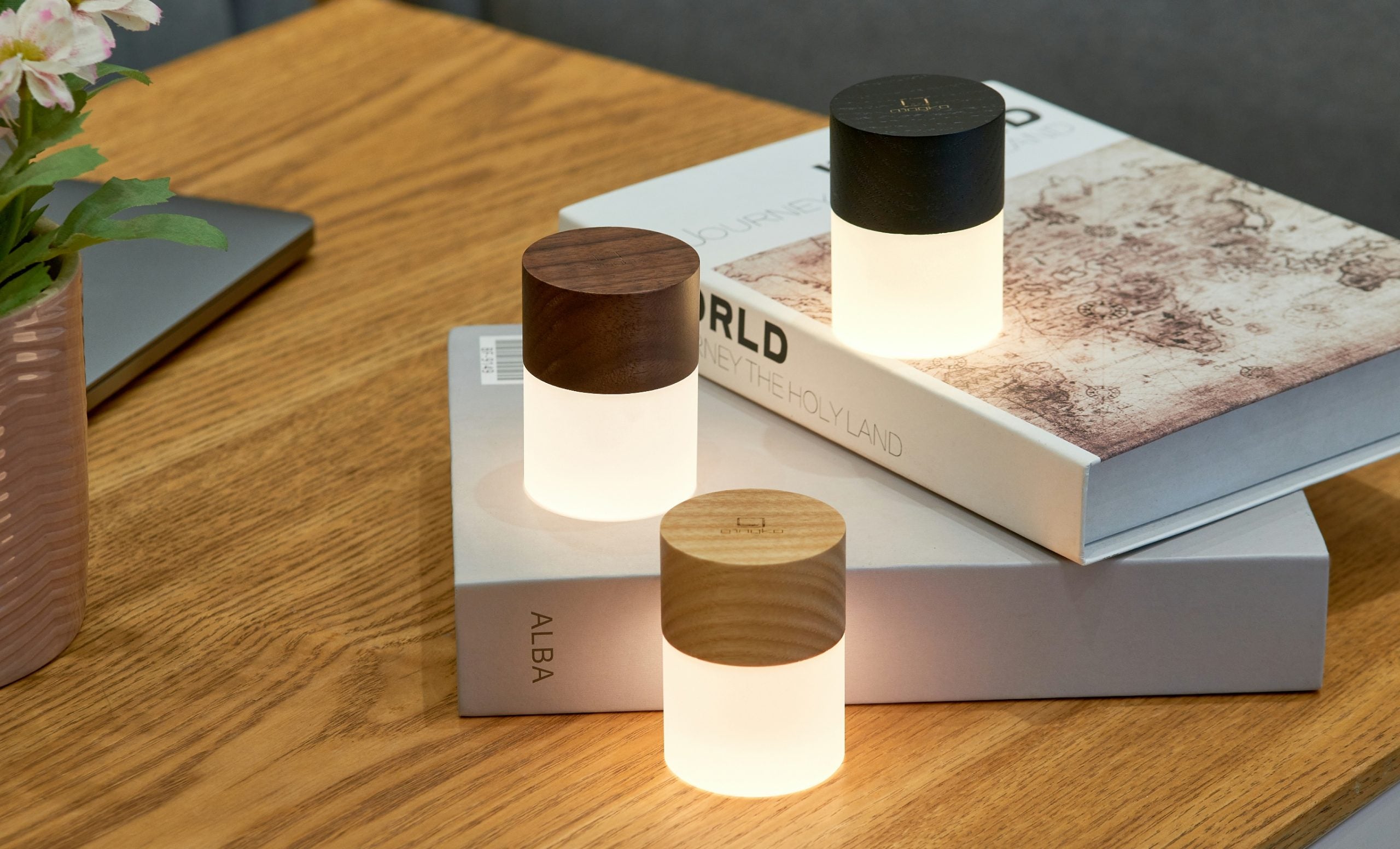 Lemelia Light  Gingko Design