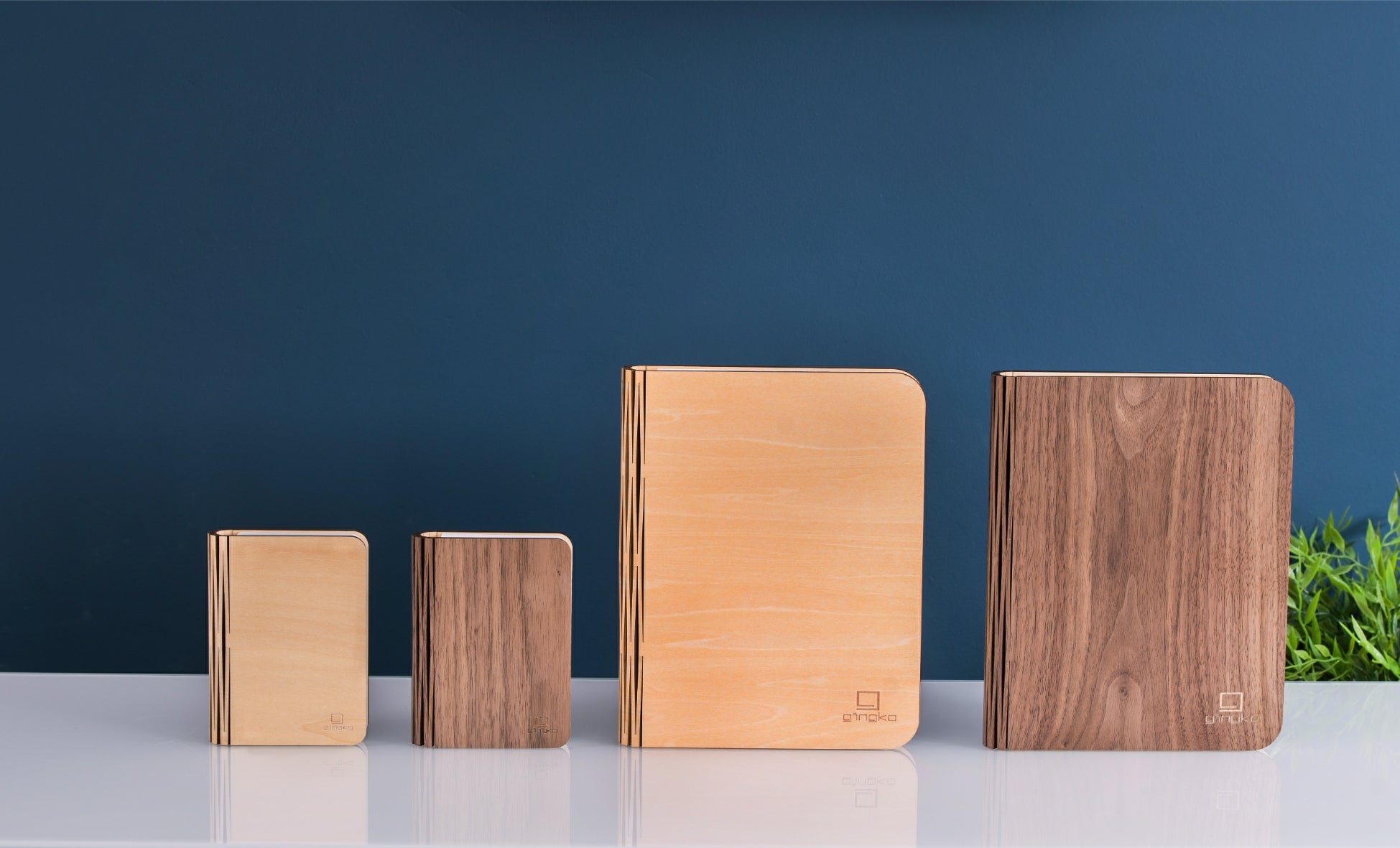 Smart Book Light – Natural Wood |  Maple & Walnut  |  Mini & Large