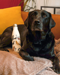 Chilly bottle 500ml DOGS Emma Bridgewater