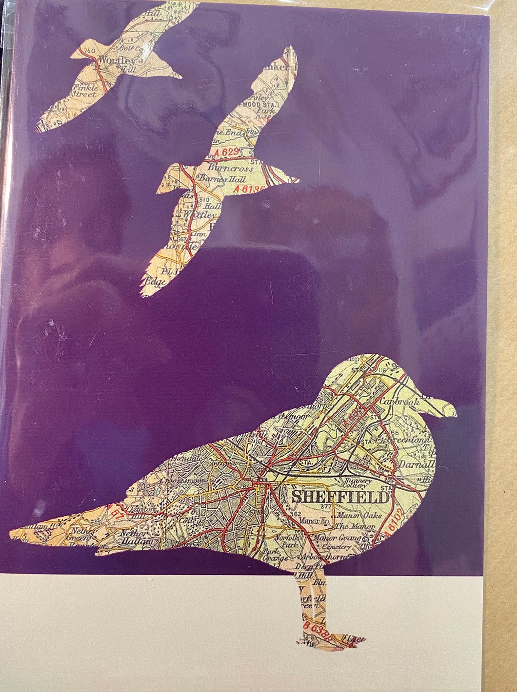 Sheffield map/birds card -GULLS