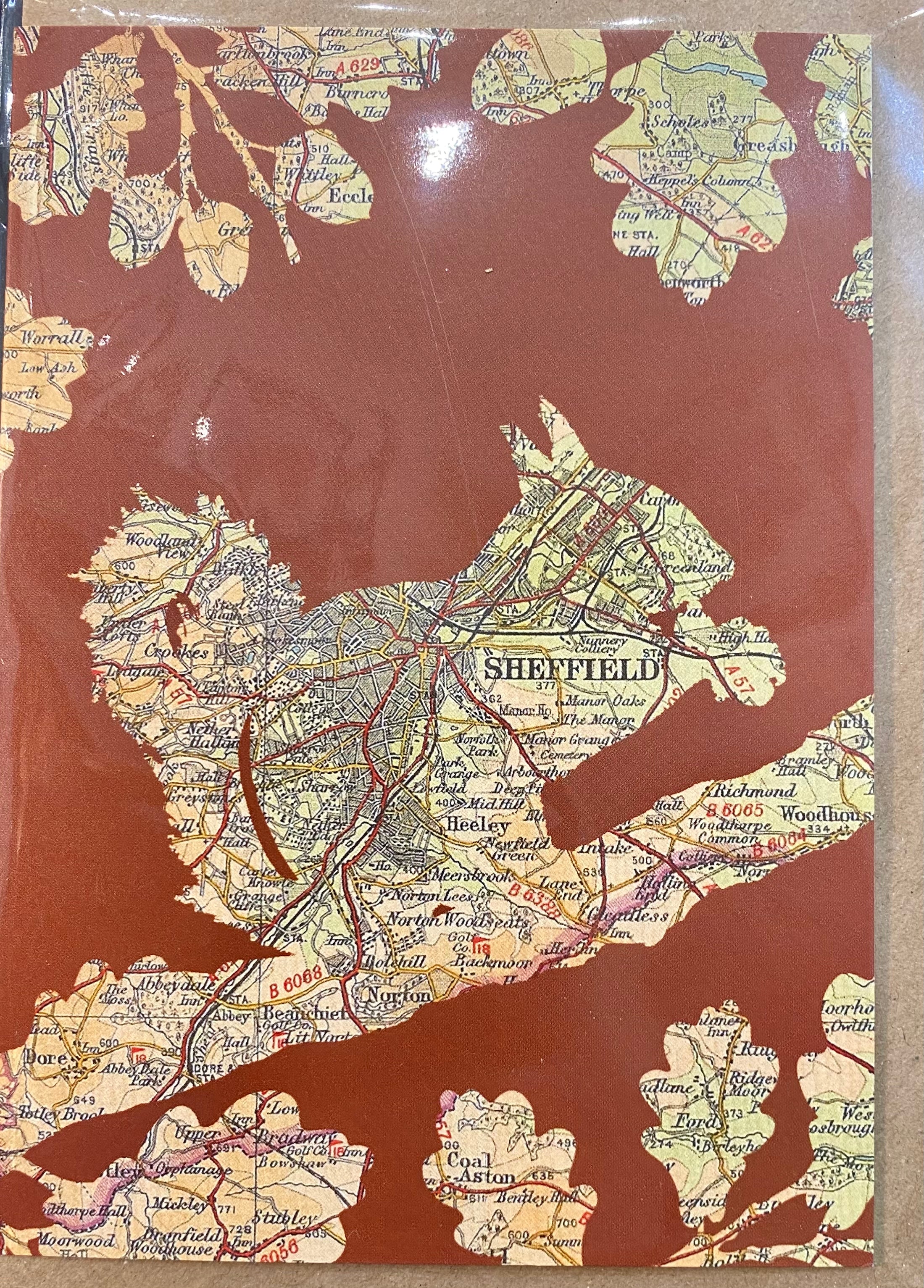 Sheffield map/birds card- SQUIRREL