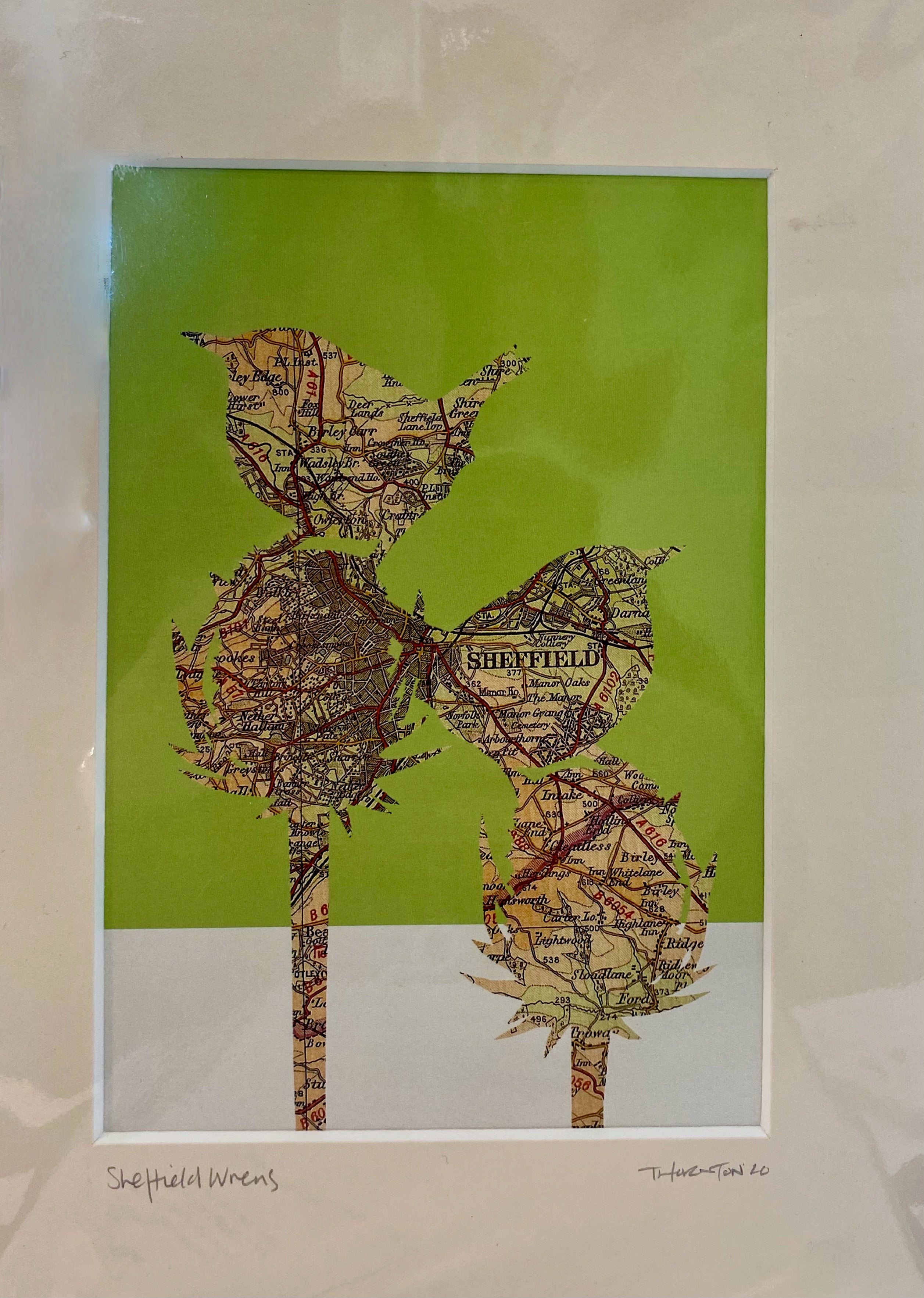 Sheffield map/birds print- wrens
