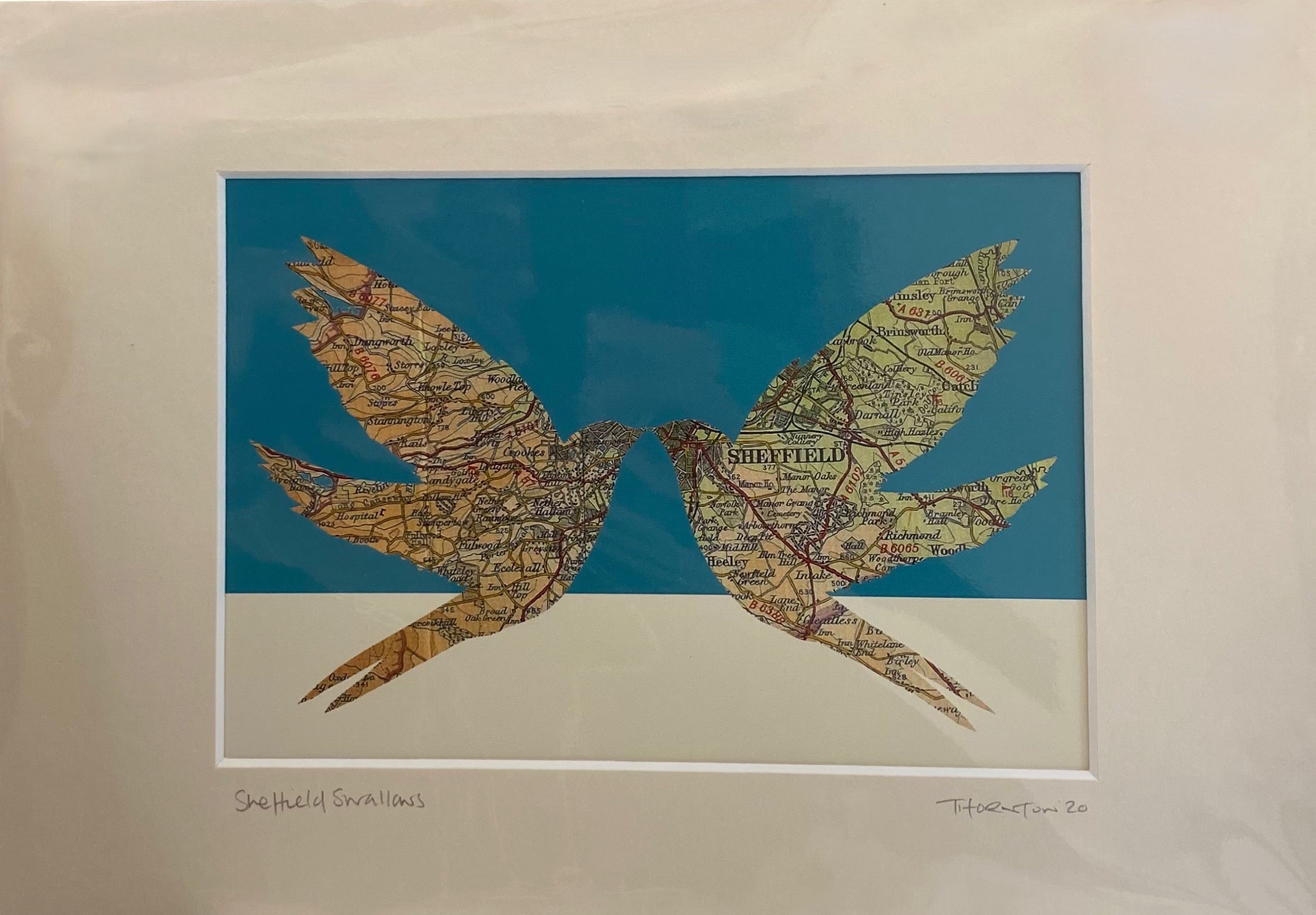 Sheffield map/birds print- swallows