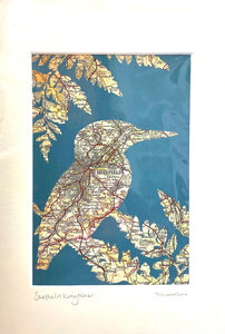 Map/birds print- Sheffield Kingfisher